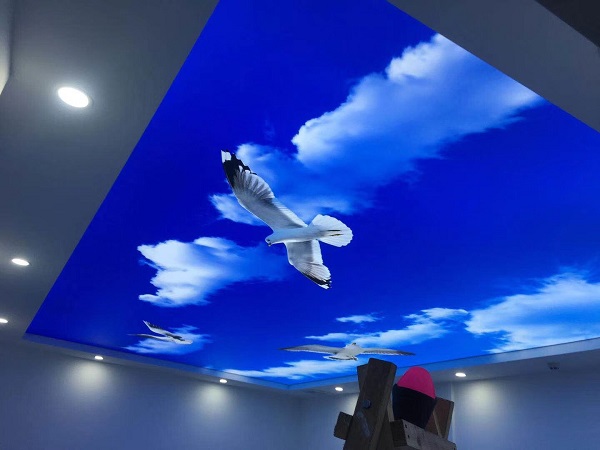 digital print ceiling film